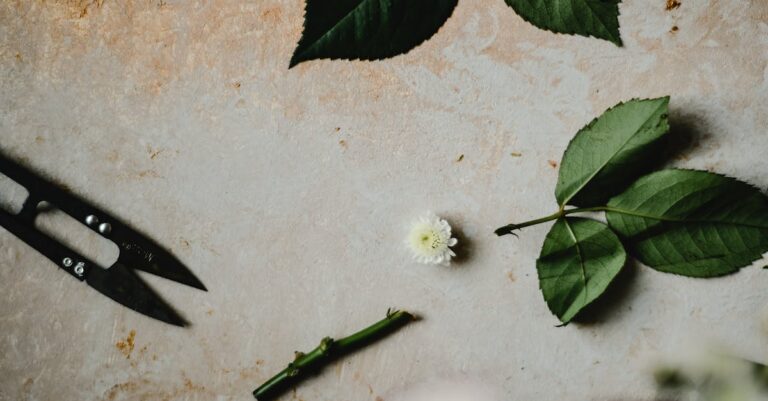 penn national horse racing